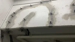 A Detailed Guide to the Concrete Injection Process